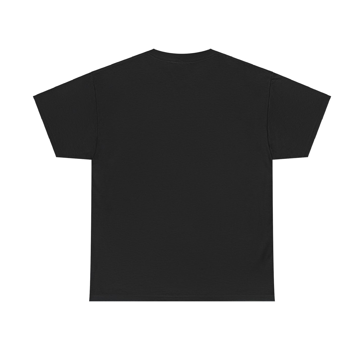 Push H8 Unisex Heavy Cotton Tee