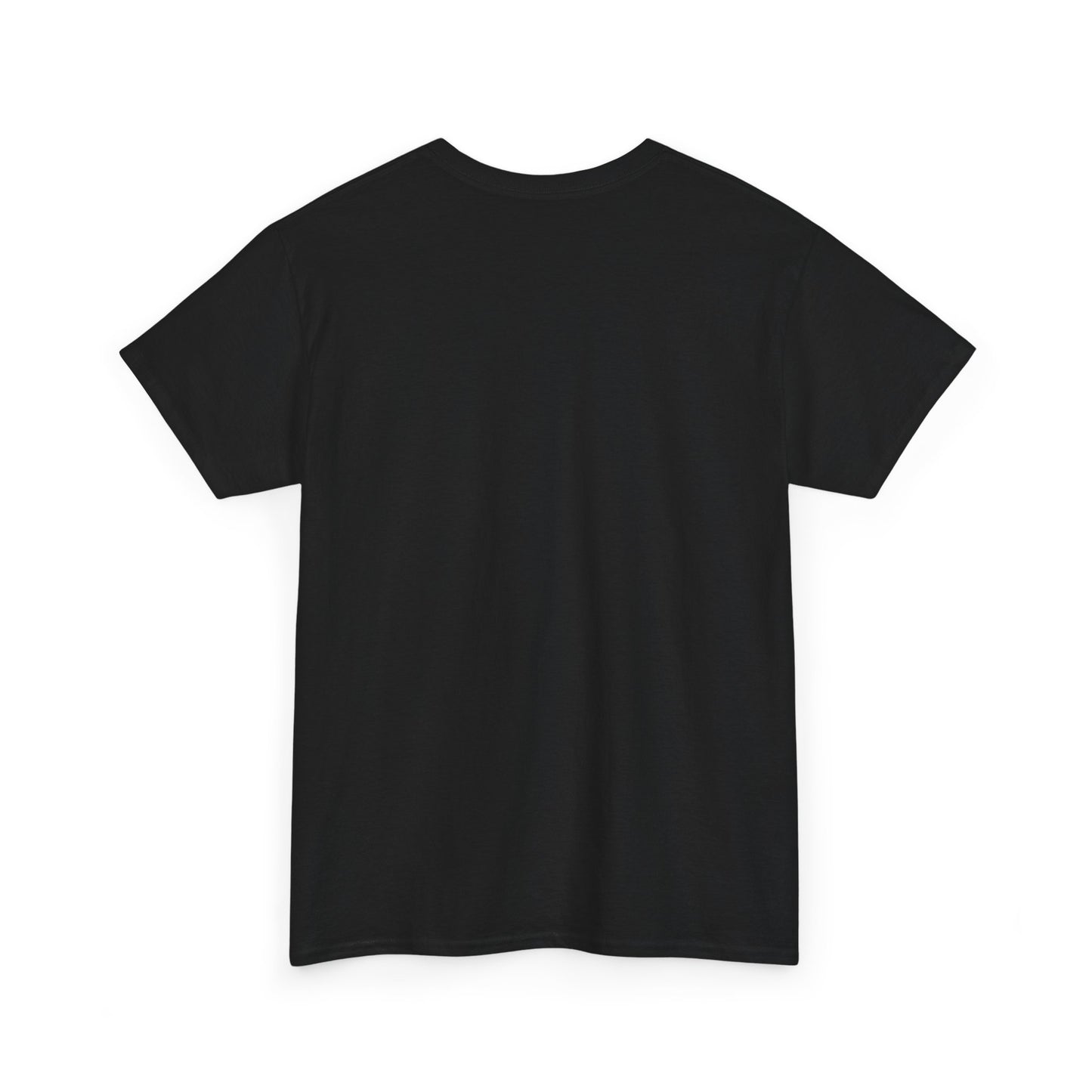Push H8 Unisex Heavy Cotton Tee