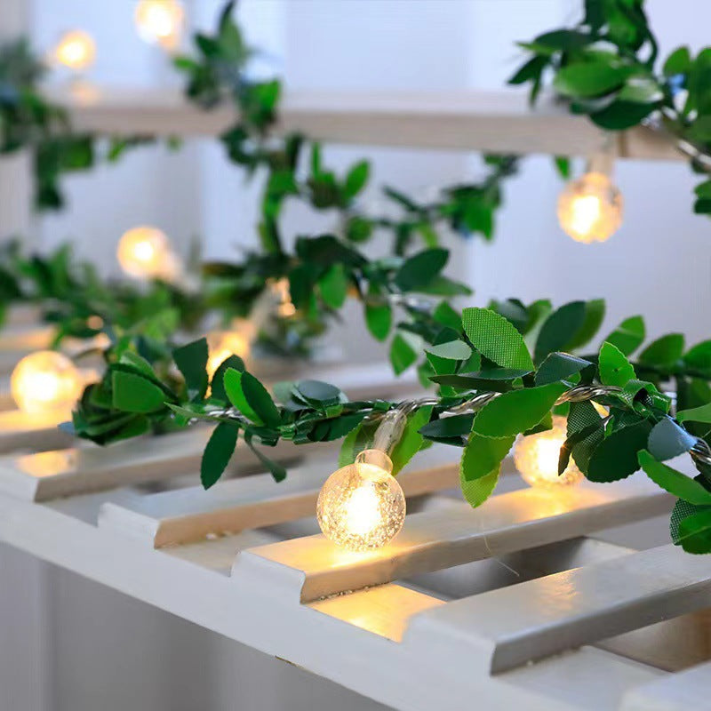 LED Light String Light