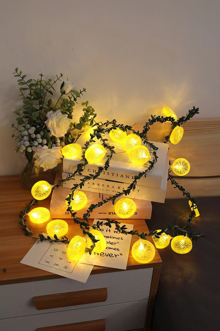 LED Light String Light