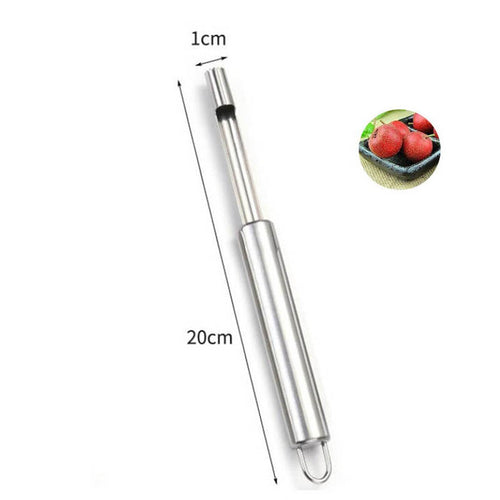 Fruit Seed Remover