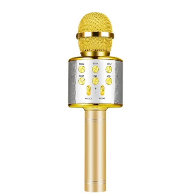 Wireless Kids Karaoke Microphone With Speaker