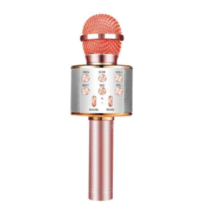 Wireless Kids Karaoke Microphone With Speaker