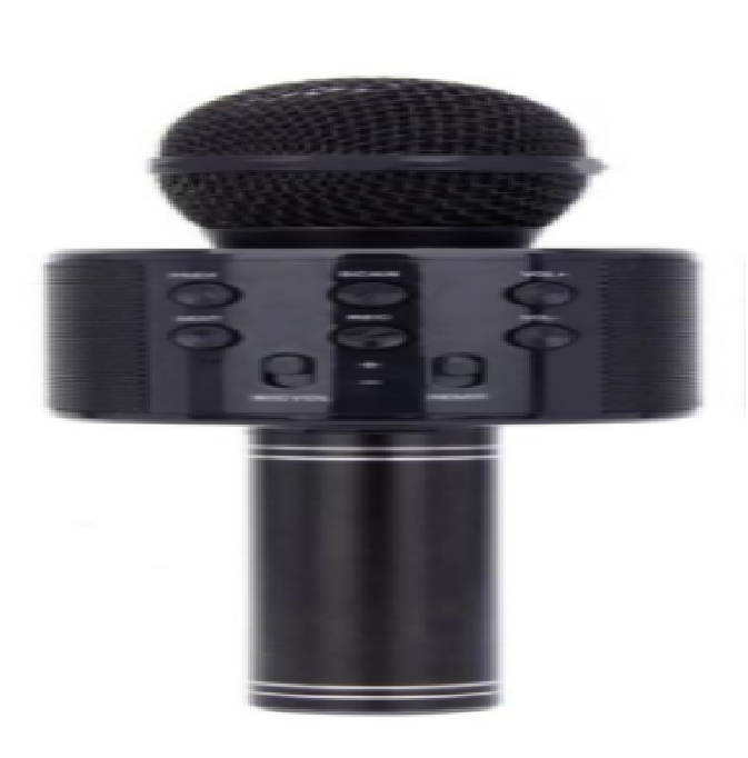 Wireless Kids Karaoke Microphone With Speaker