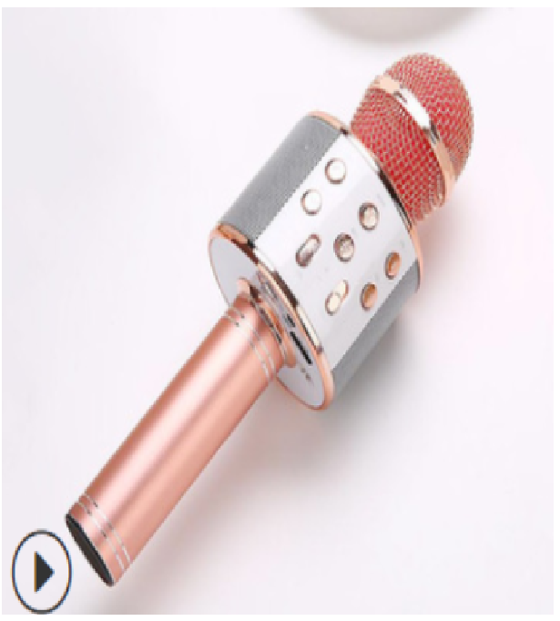 Wireless Kids Karaoke Microphone With Speaker
