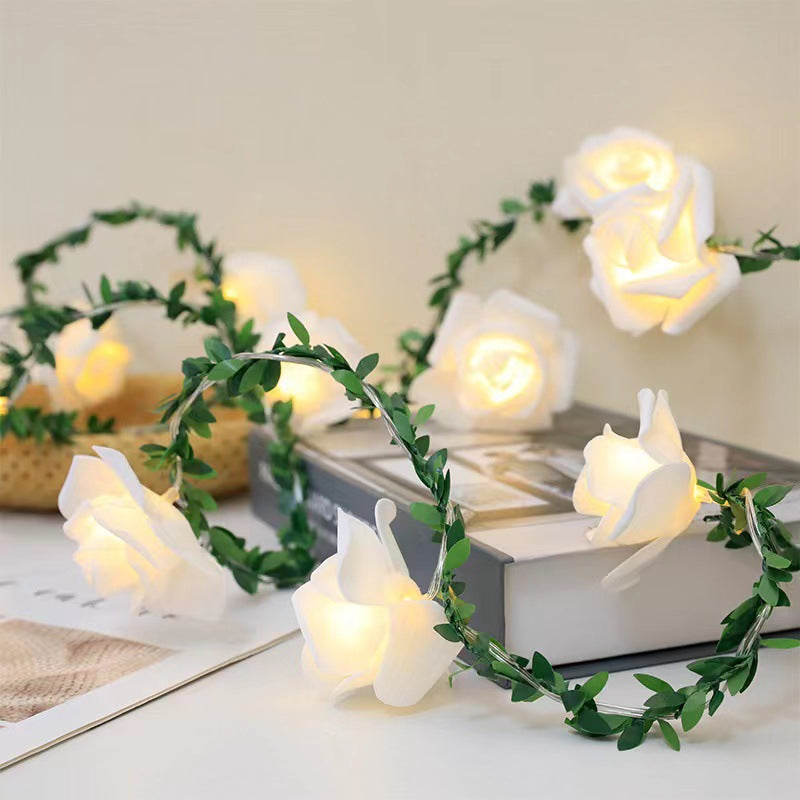 LED Light String Light
