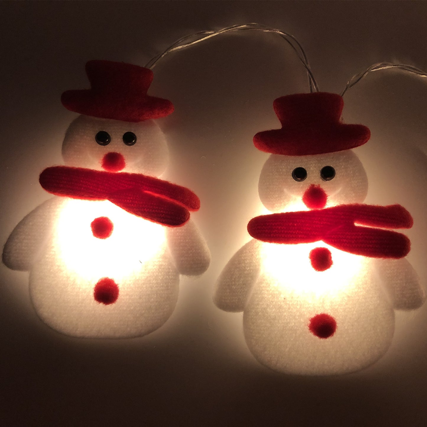 LED String Lights