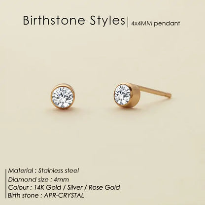 Stainless Steel Birthstone Earrings