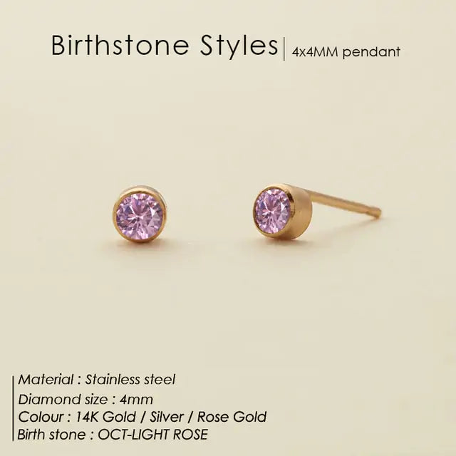 Stainless Steel Birthstone Earrings