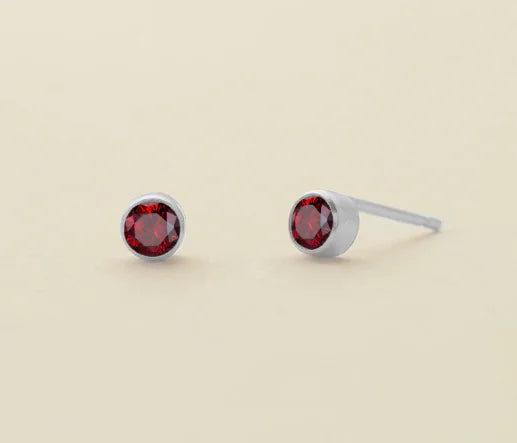 Stainless Steel Birthstone Earrings