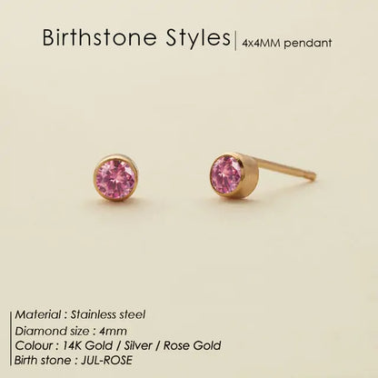 Stainless Steel Birthstone Earrings