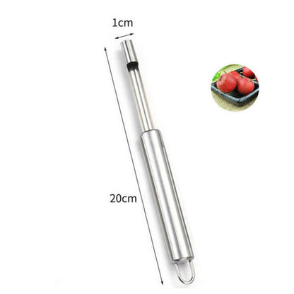 Fruit Seed Remover