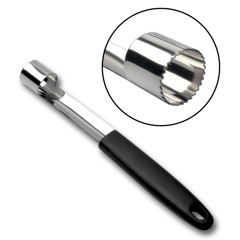 Fruit Seed Remover