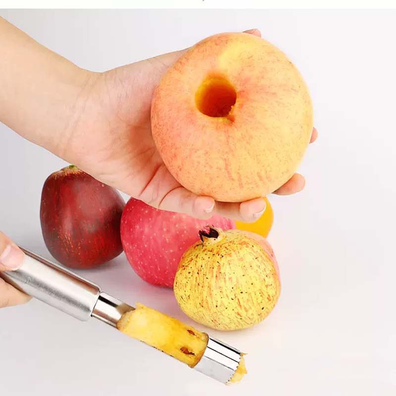 Fruit Seed Remover
