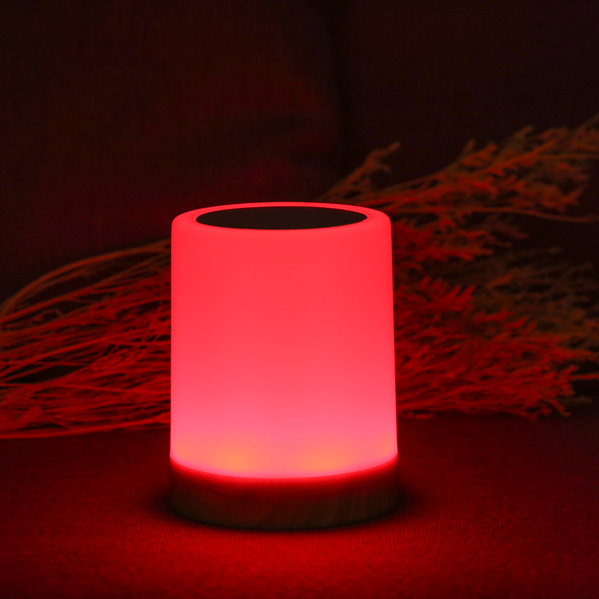 Touch Control Bedside Light