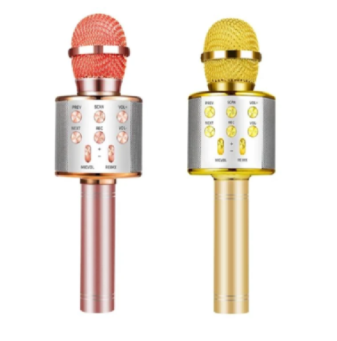 Wireless Kids Karaoke Microphone With Speaker