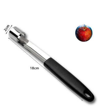 Fruit Seed Remover