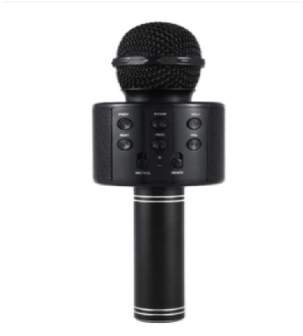Wireless Kids Karaoke Microphone With Speaker
