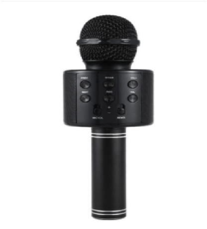 Wireless Kids Karaoke Microphone With Speaker