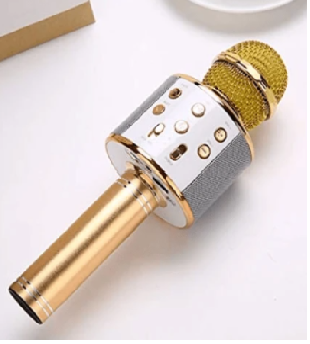 Wireless Kids Karaoke Microphone With Speaker