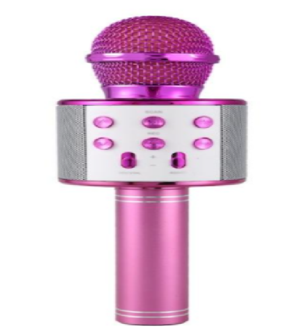 Wireless Kids Karaoke Microphone With Speaker