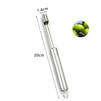 Fruit Seed Remover