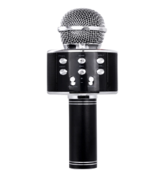 Wireless Kids Karaoke Microphone With Speaker